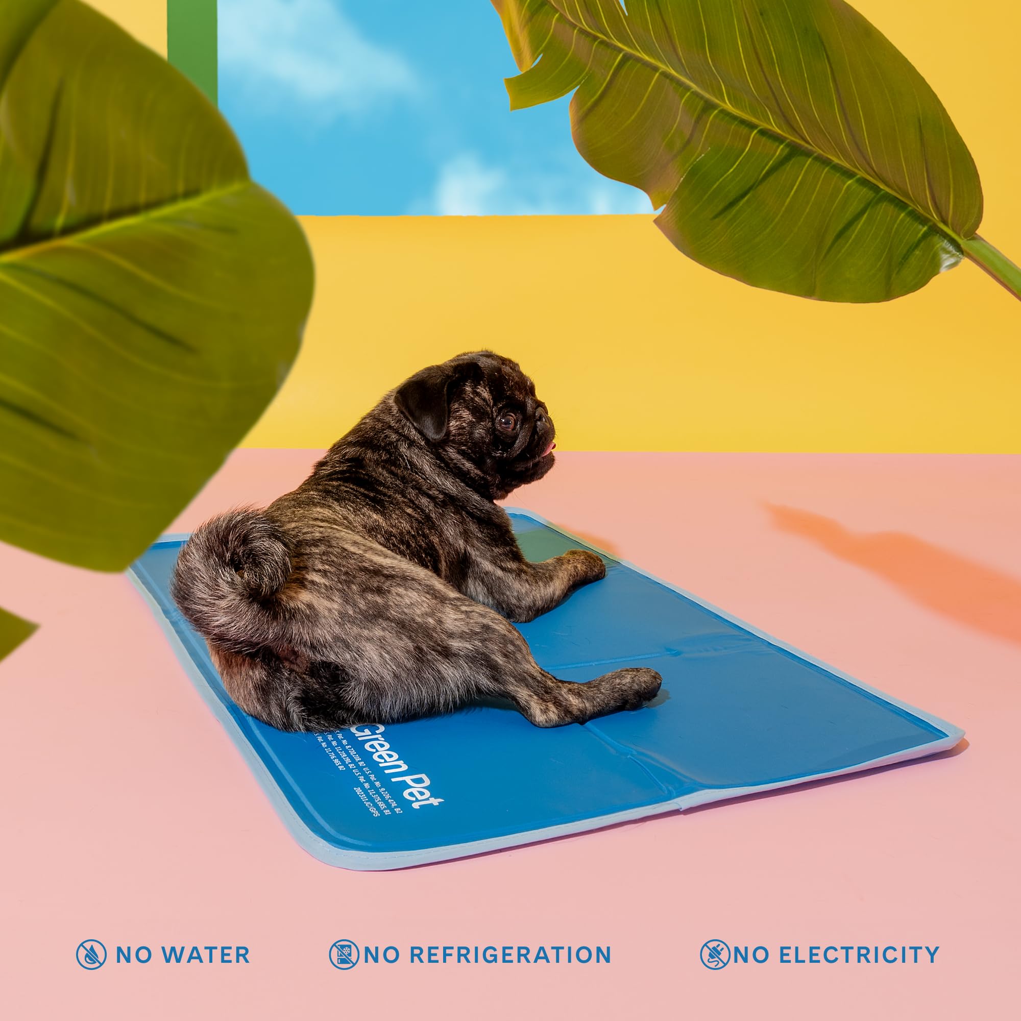 The Green Pet Shop enfriamiento sin agua para mascotas grandes y cómodas