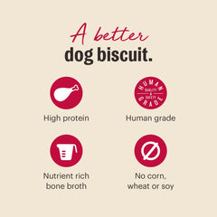 Chien en action dégustant The Honest Kitchen Bone Broth Bites