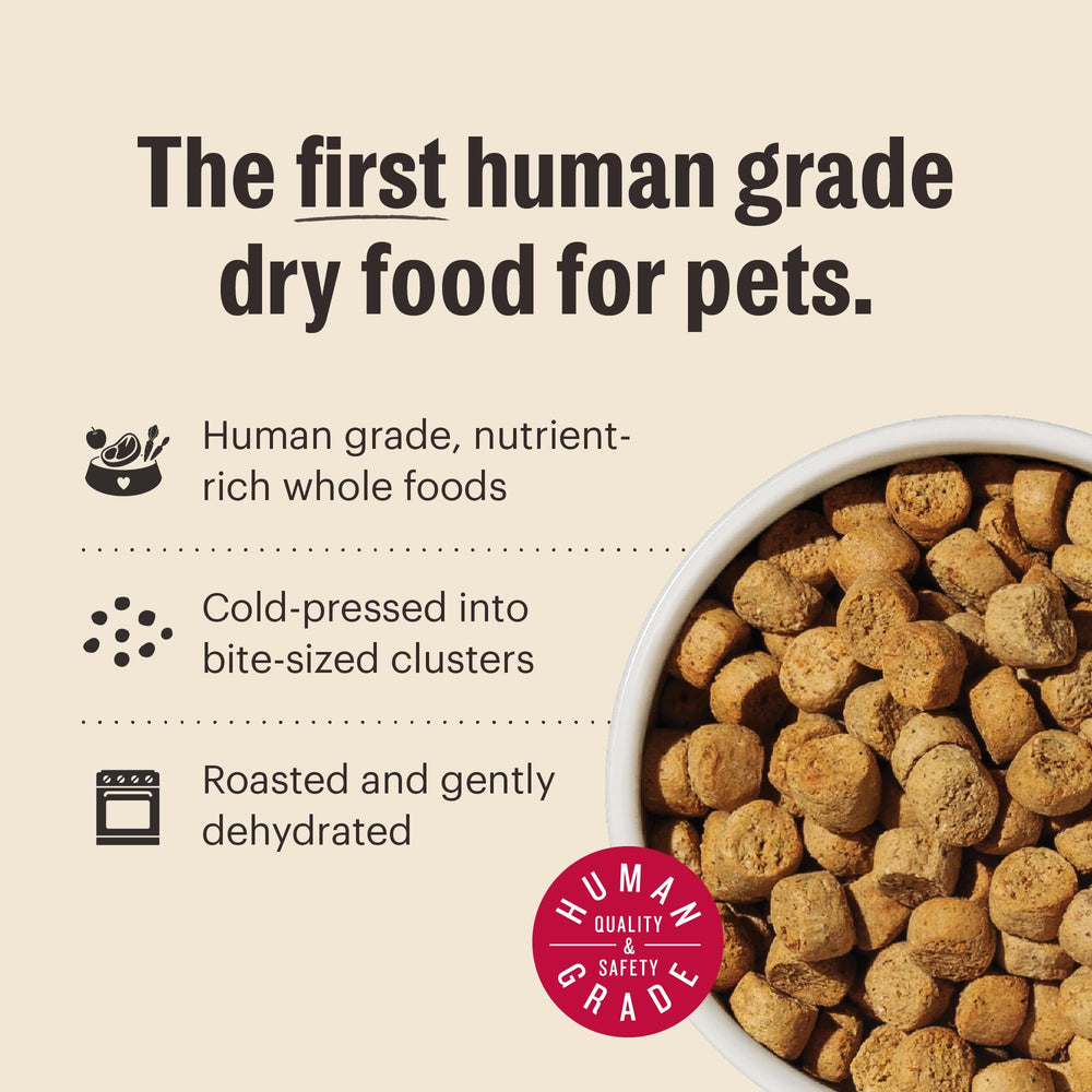 The Honest Kitchen sin gomas ni conservantes artificiales para mascotas