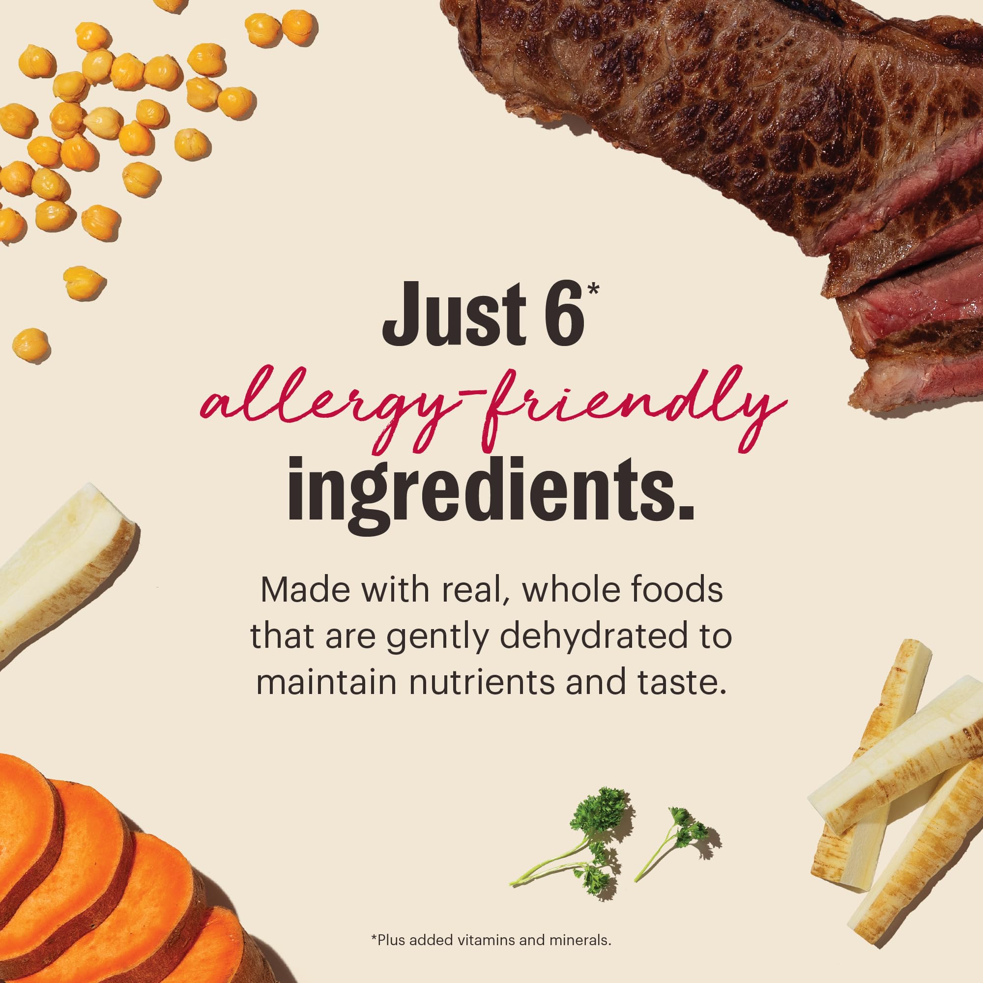 The Honest Kitchen WholeMade apto para estómagos sensibles