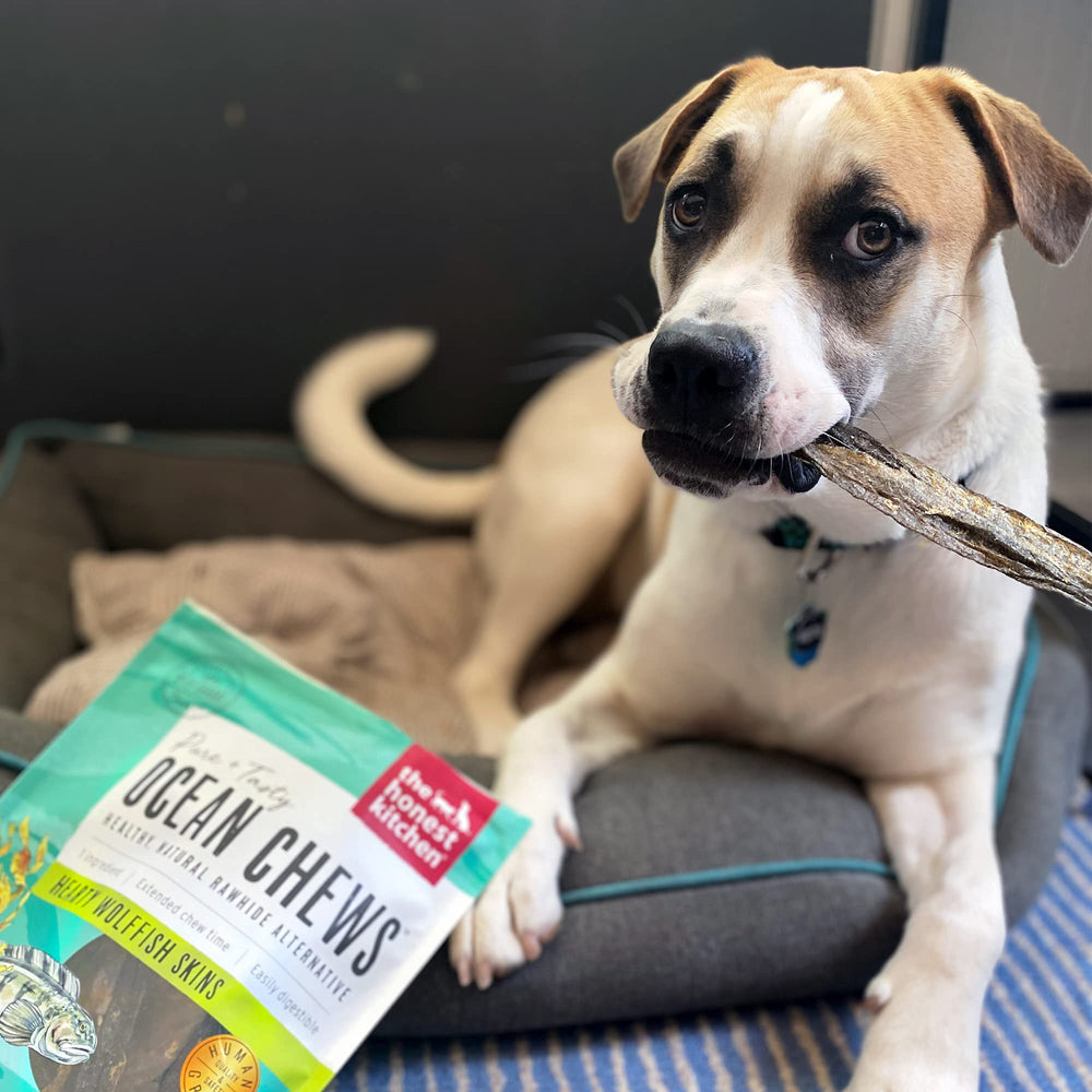 The Honest Kitchen Ocean Chews: piel de wolffish 8.5 pulgadas, ideal para perros grandes