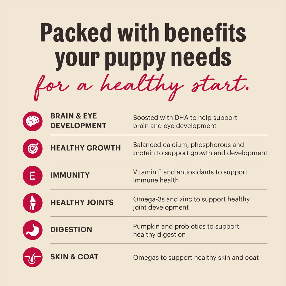 The Honest Kitchen plan para cachorros: alimento nutritivo todo en uno