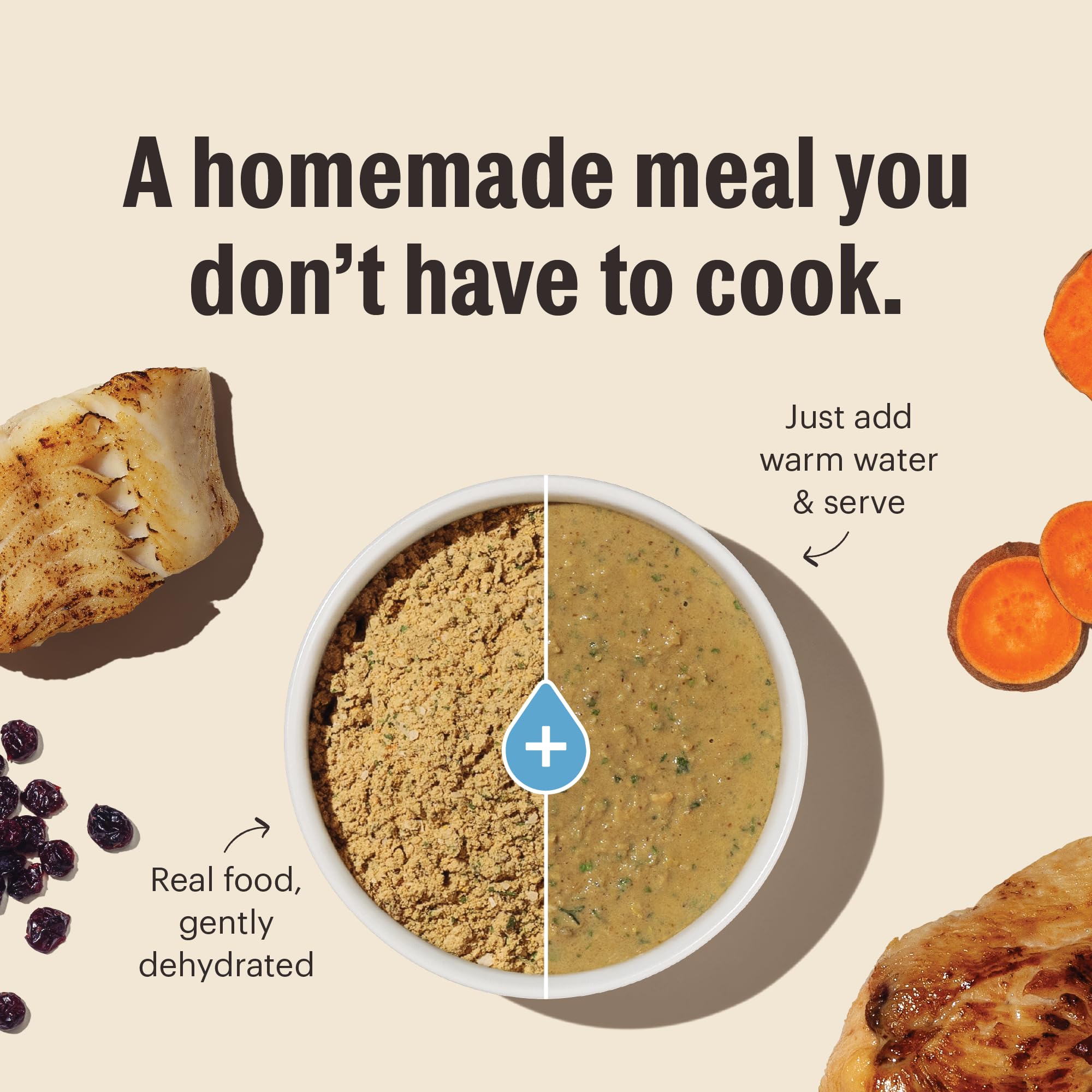 The Honest Kitchen probióticos para digestión suave del gato