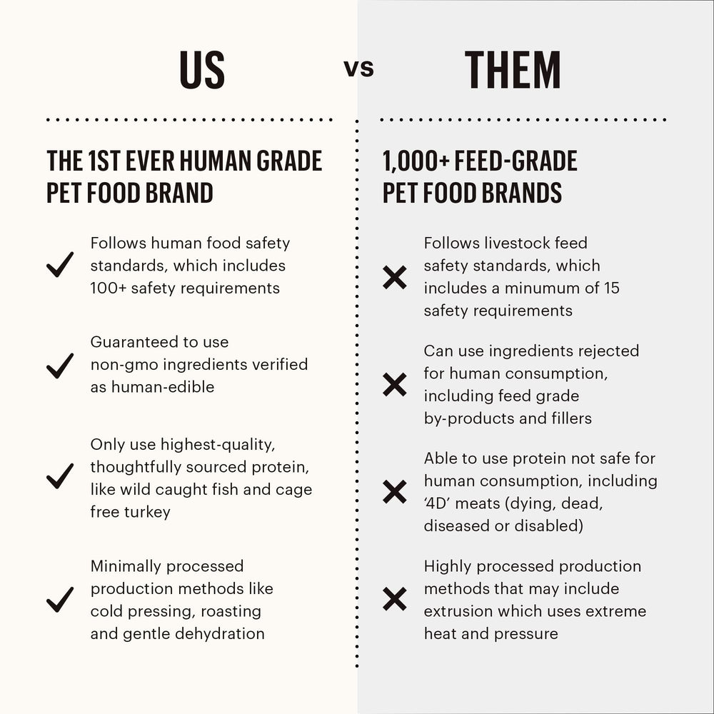 The Honest Kitchen Estofado de Pollo y Calabaza para perros, sabor nutritivo.