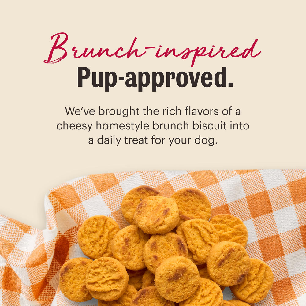 The Honest Kitchen sin OMG, opción segura sin alérgenos para tu perro