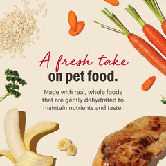 The Honest Kitchen Wholemade para cachorros y adultos, ideal para todas las razas