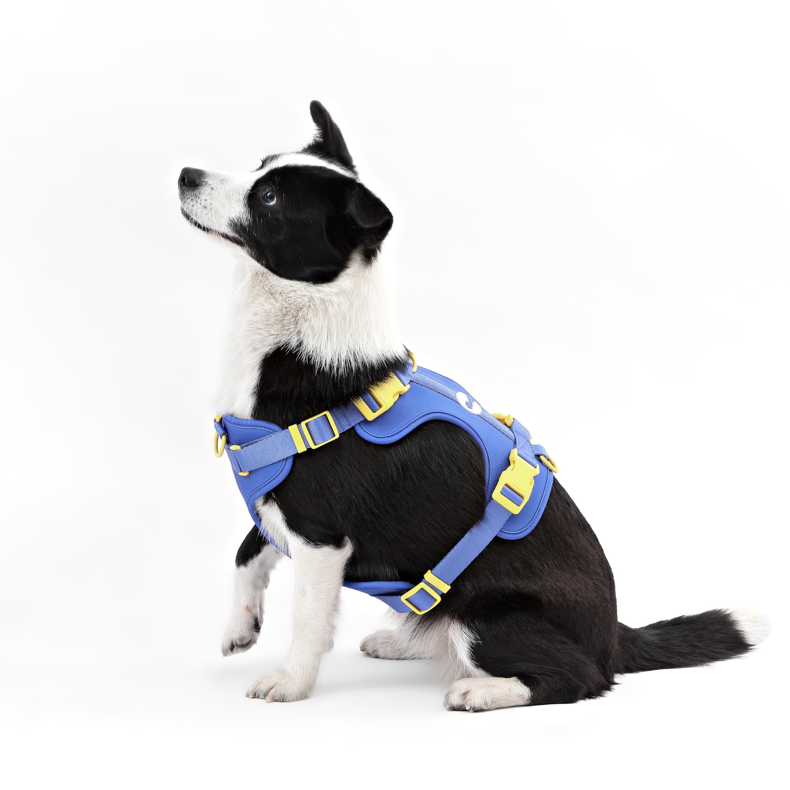 THE LICKER STORE Arlo arnés con cuatro correas para un ajuste perfecto.