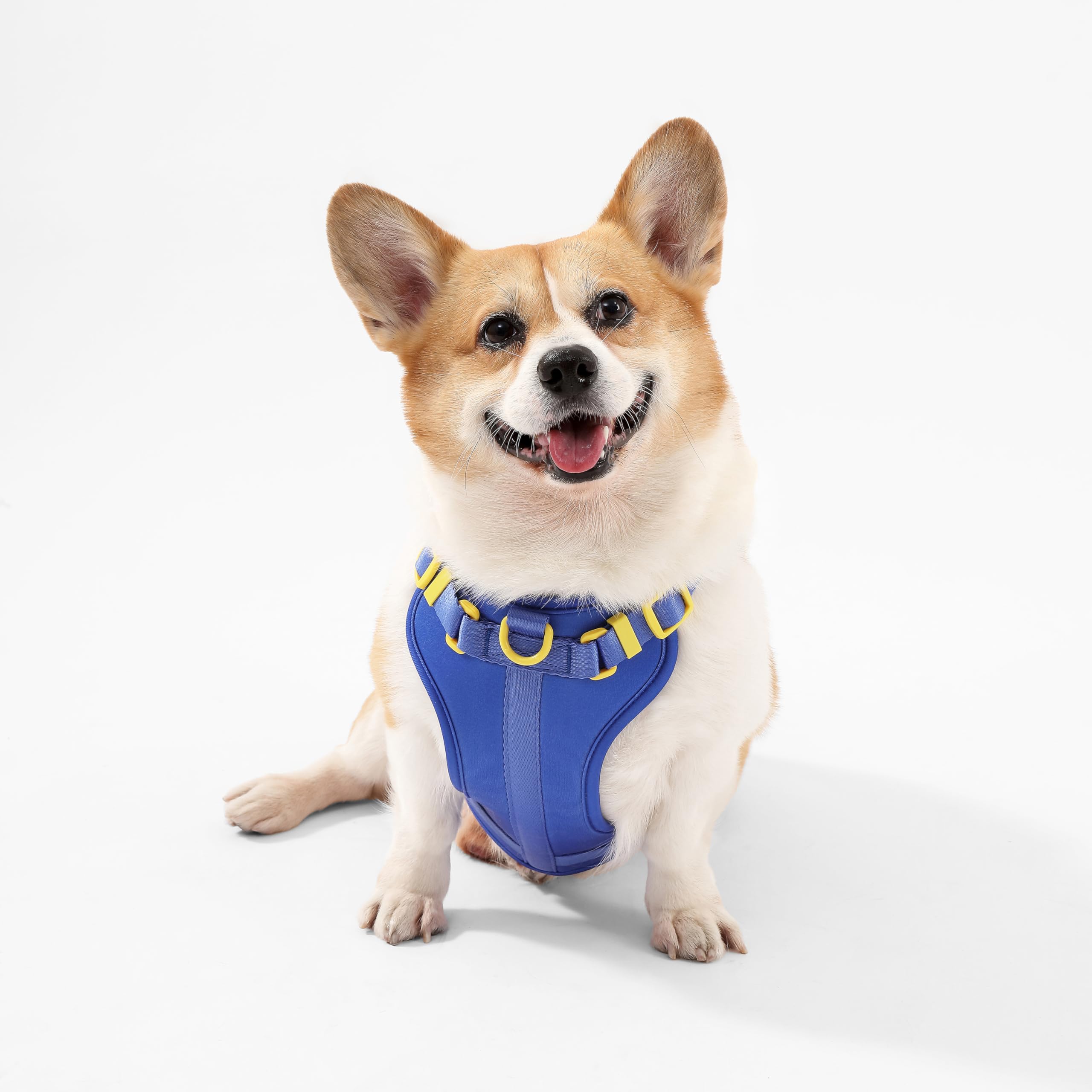 THE LICKER STORE Arlo, acolchado suave que ofrece comodidad en cada paso