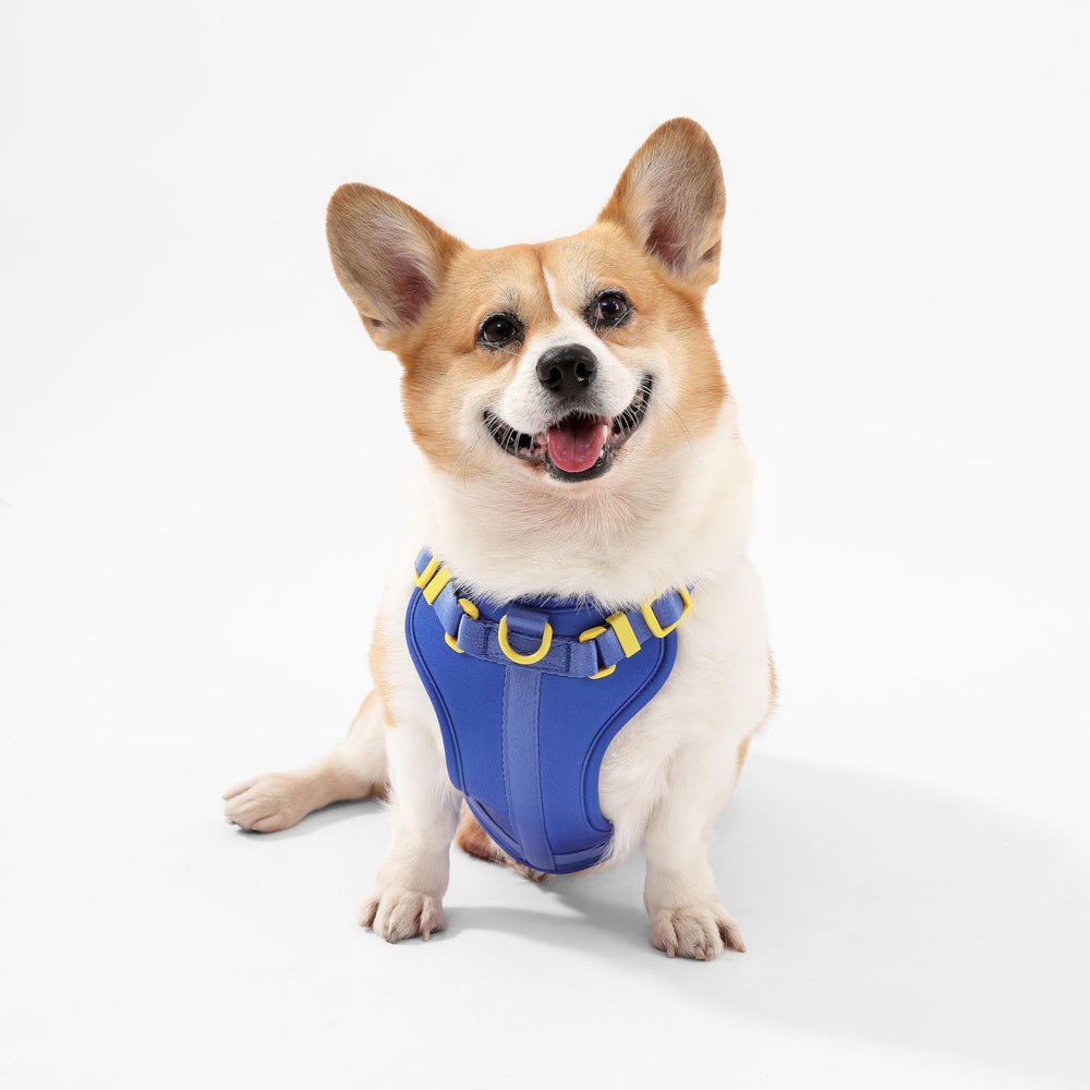THE LICKER STORE Arlo, acolchado suave que ofrece comodidad en cada paso