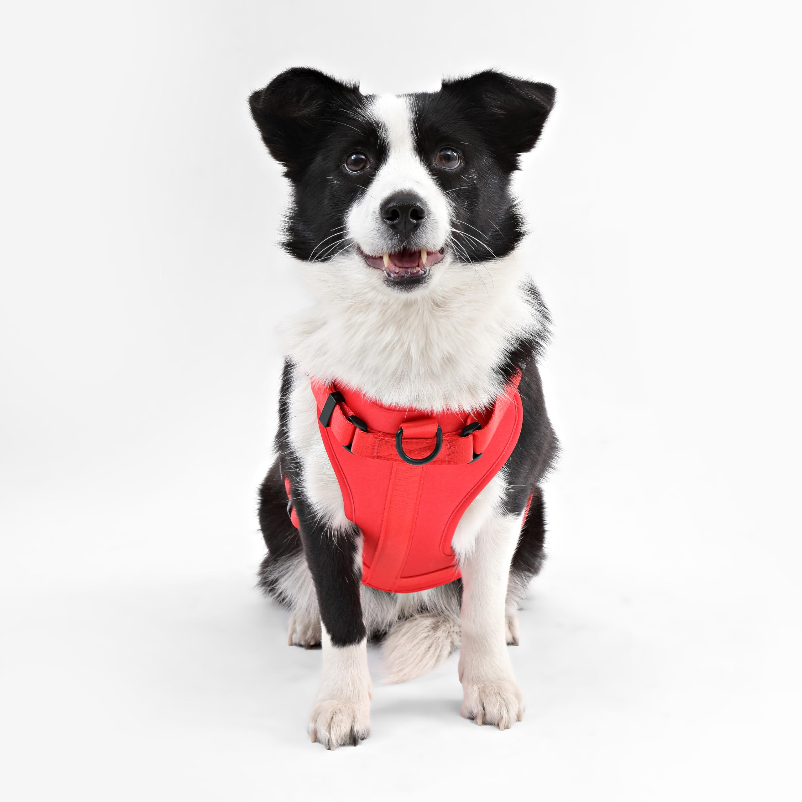 THE LICKER STORE Arlo Grande, diseño de correas para ajuste perfecto.