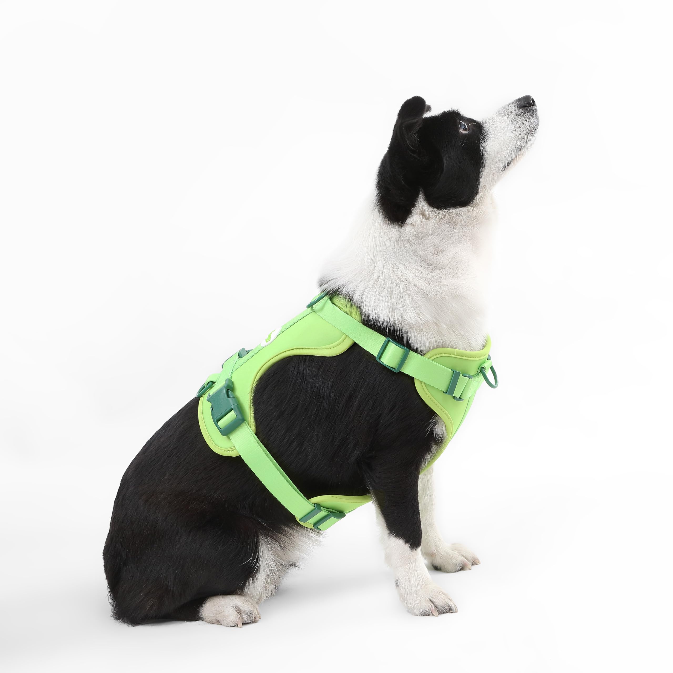 Arnés Arlo THE LICKER STORE, talla grande para perros robustos y activos.