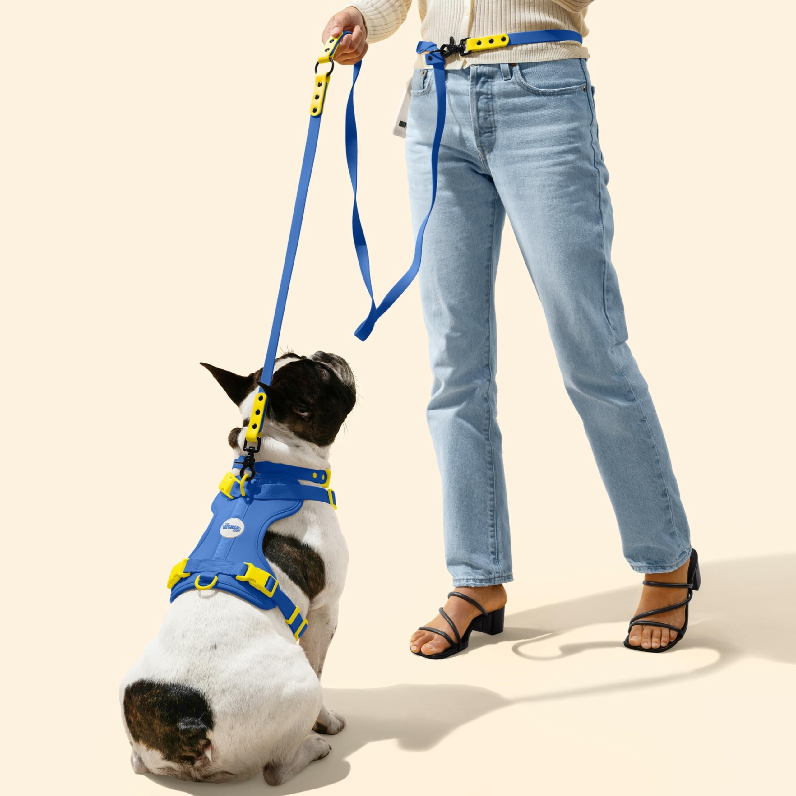 Arlo THE LICKER STORE: hebillas amarillas visibles para ajuste rápido