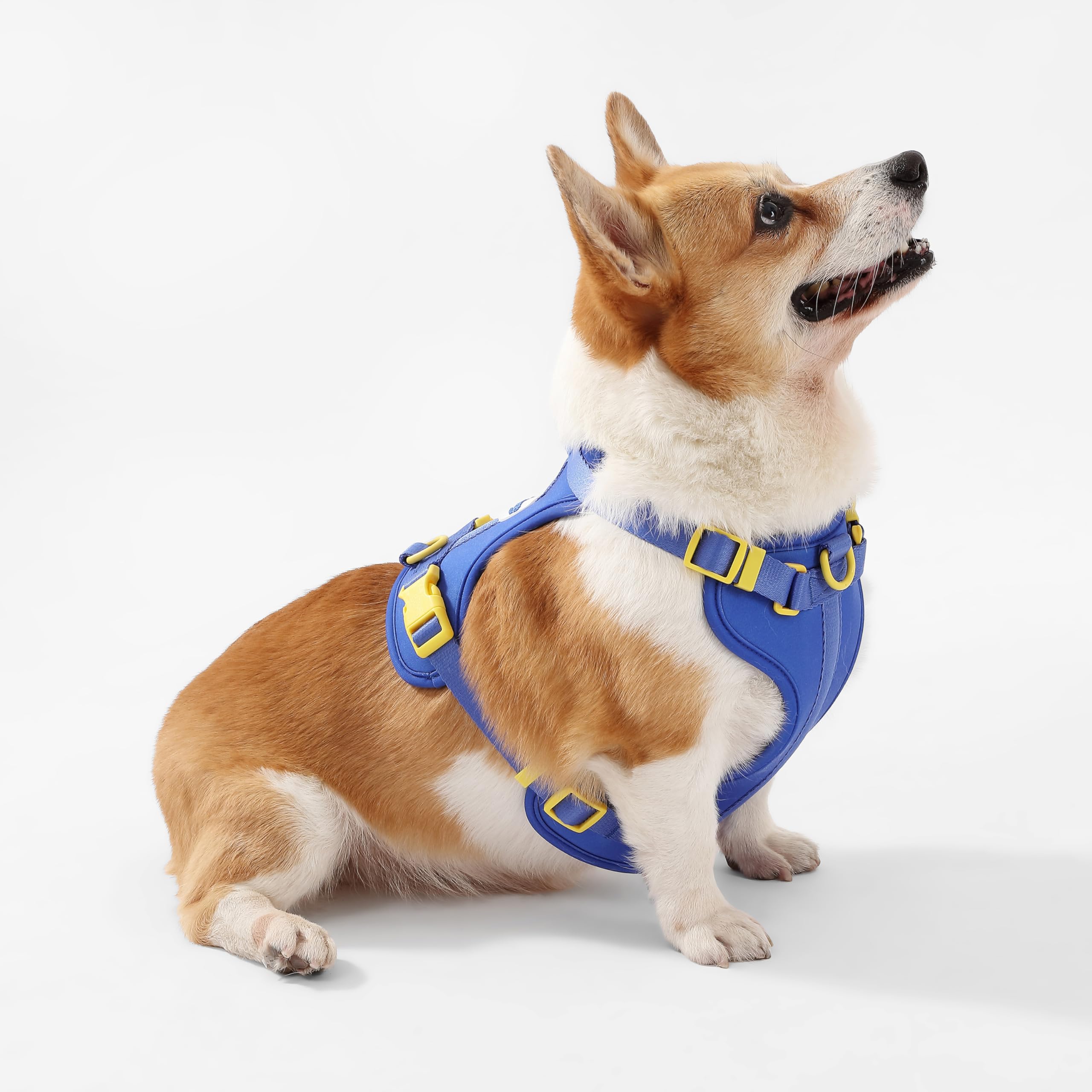 THE LICKER STORE Arlo, diseño con tres cierres para vestir rápido