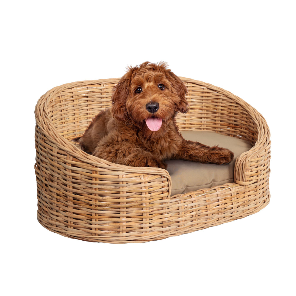 THE LICKER STORE DBD1000B cama de ratán curvada para mascotas, descanso cómodo.