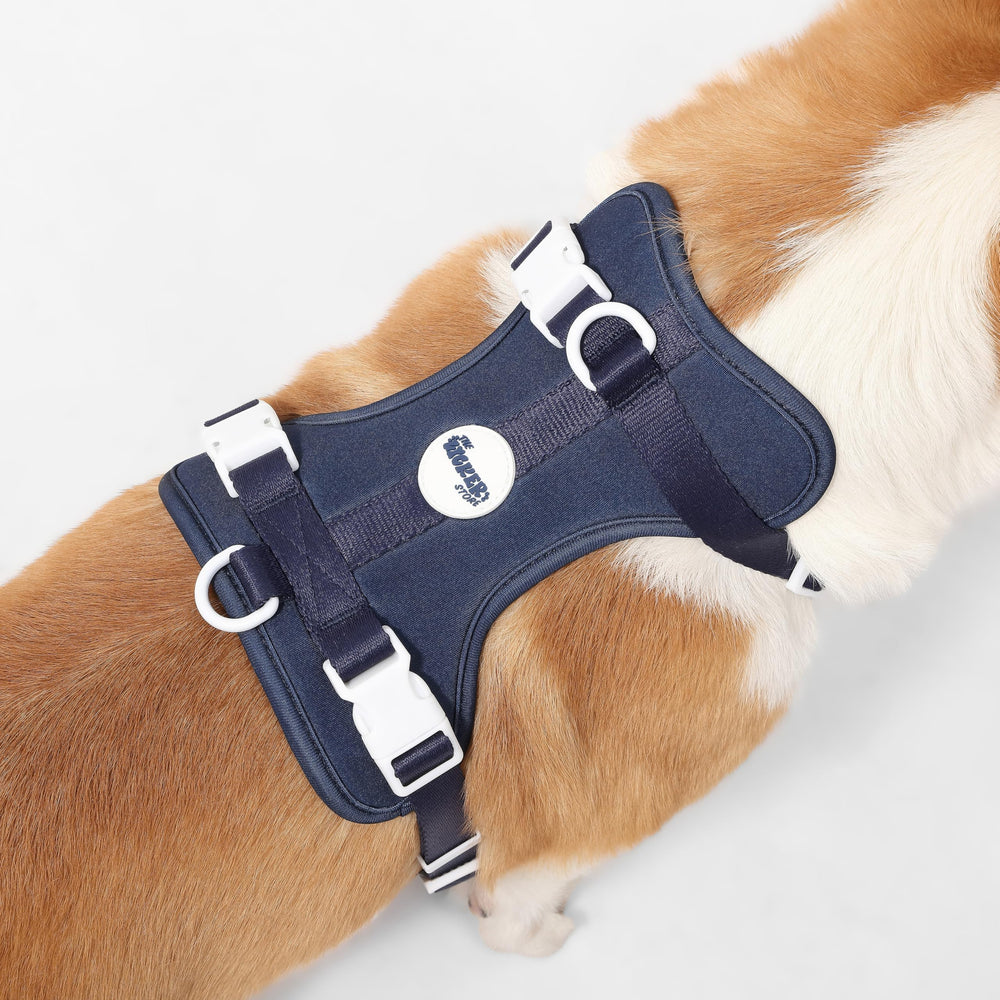 THE LICKER STORE Arlo arnés disponible en 14 colores para estilo y comodidad.