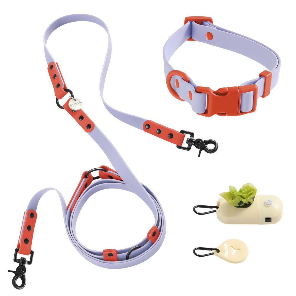THE LICKER STORE Luna collar y correa ajustables para paseos cómodos y seguros