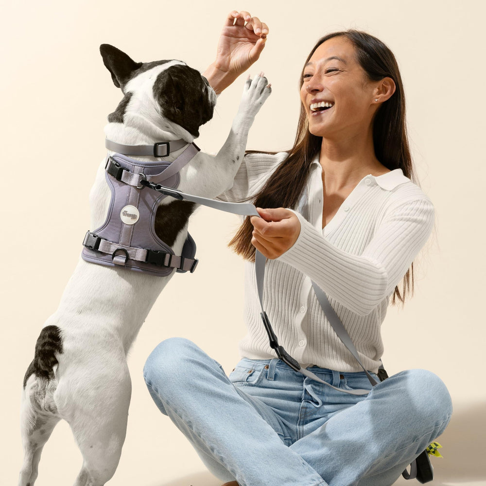 Luna de THE LICKER STORE con luz LED recargable para paseos nocturnos