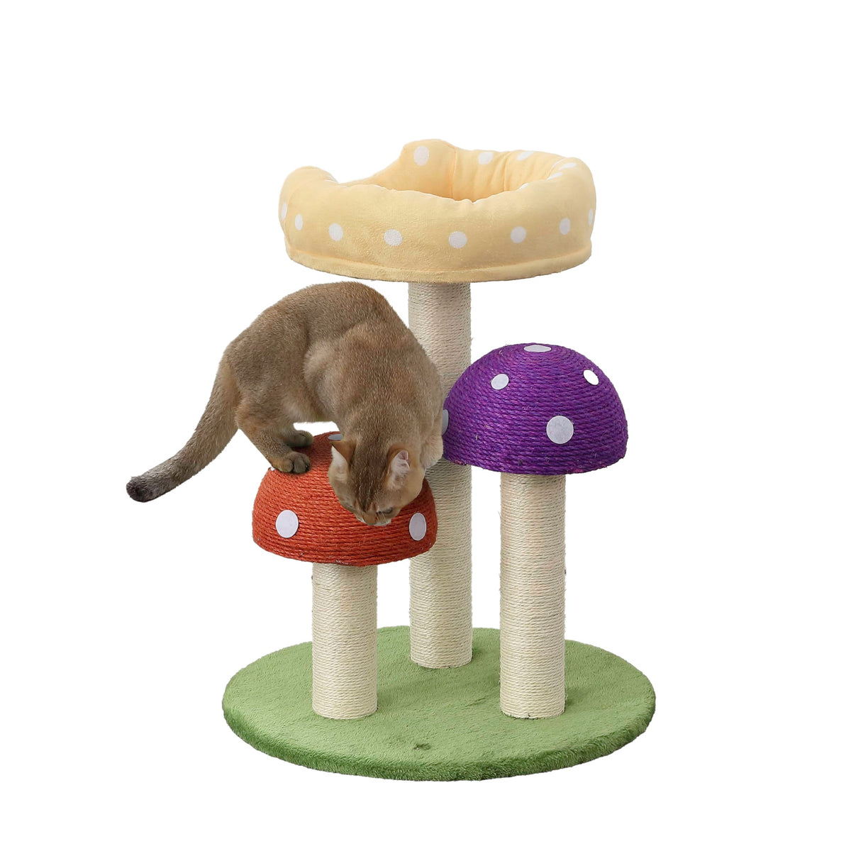 THE LICKER STORE Pixie 22.5 arbol-gato-hongo base verde para descanso y juego