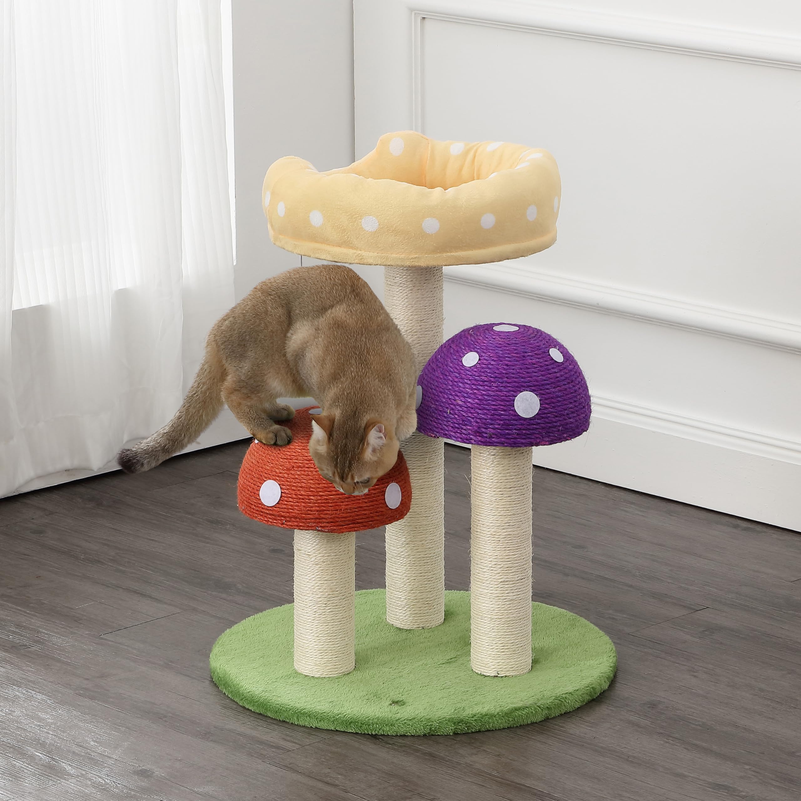 THE LICKER STORE Pixie 22.5 arbol-gato-hongo-rascado superficie natural