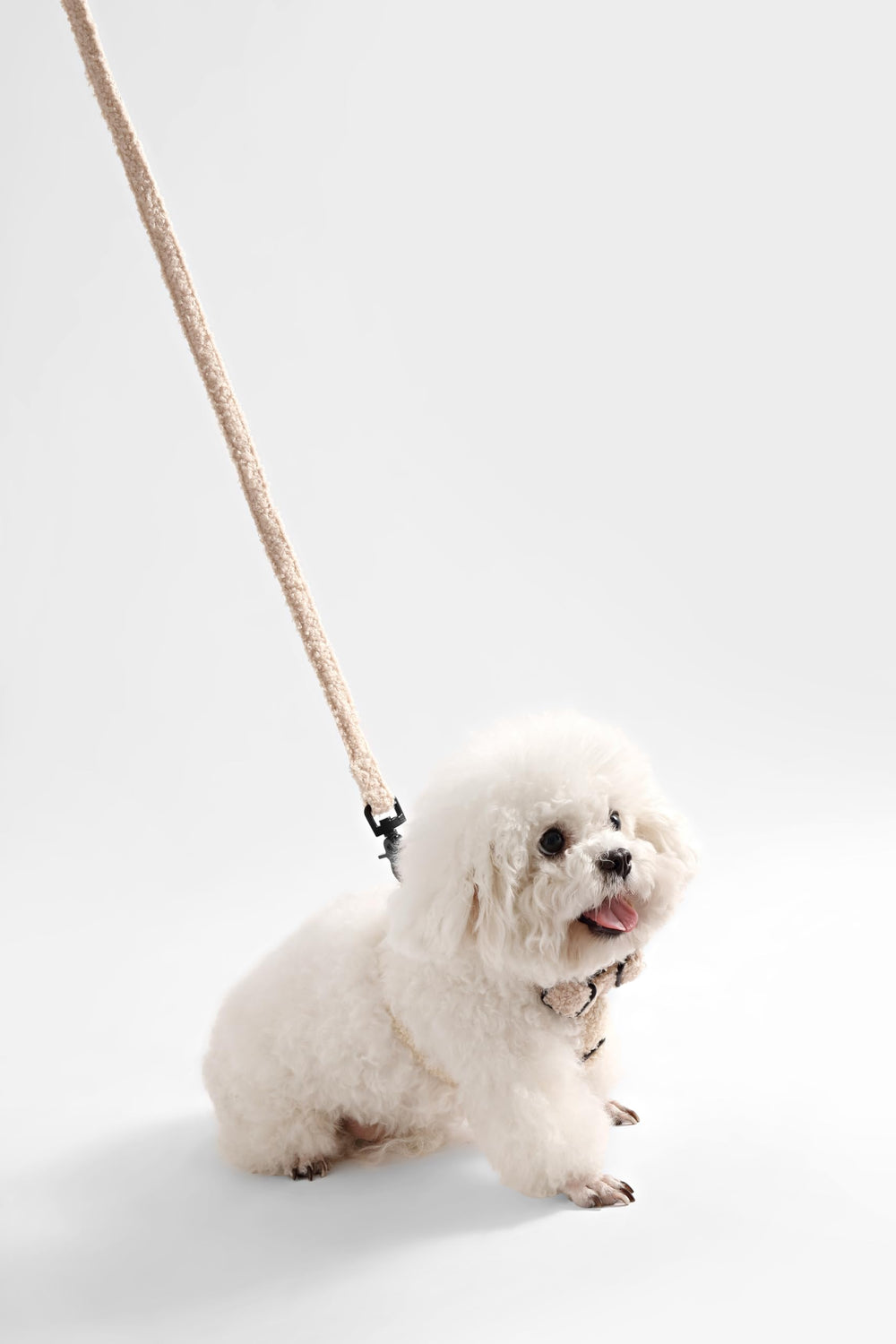 Hebilla única THE LICKER STORE WLK1000A-4SET, vestir al perro con rapidez