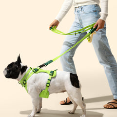 THE LICKER STORE WLK1005B-5SET Luna: collar y correa en dos tonos verdes