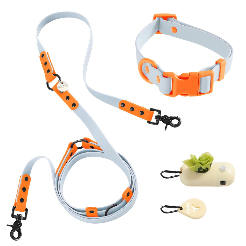 THE LICKER STORE WLK1005D-5SET: collar y correa ajustables para paseos cómodos y control seguro.