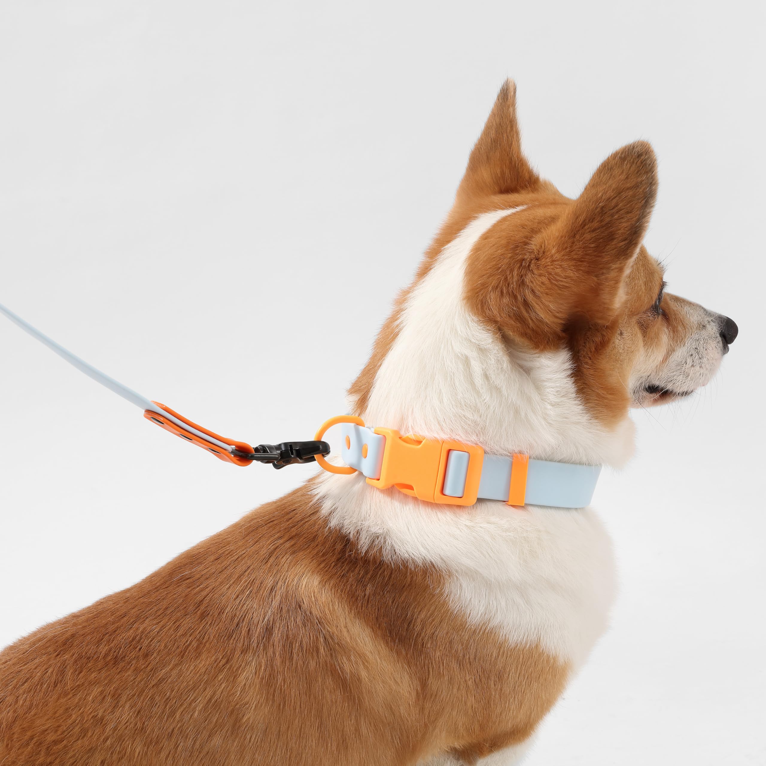 THE LICKER STORE WLK1005D-5SET: diseño resistente al agua para cualquier clima.