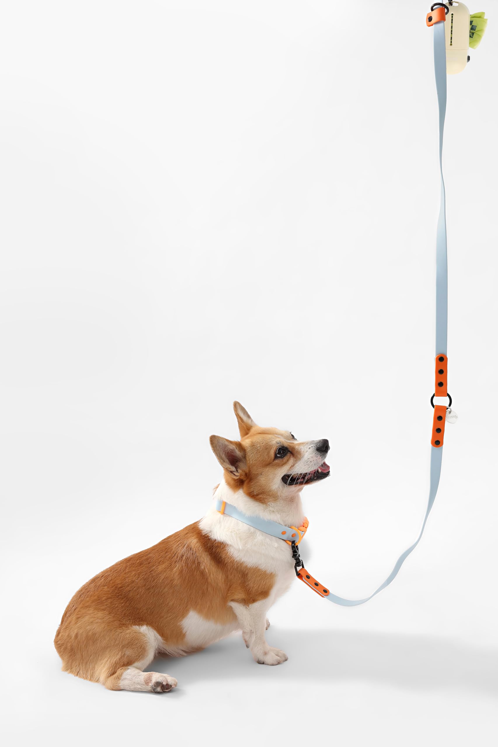 THE LICKER STORE WLK1005D-5SET: sistema manos libres para caminar sin esfuerzo.