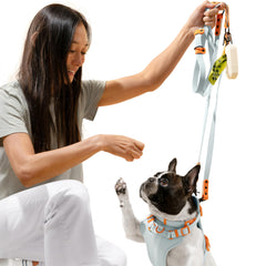 THE LICKER STORE WLK1006D-5SET Luna collar de dos tonos para perros grandes.
