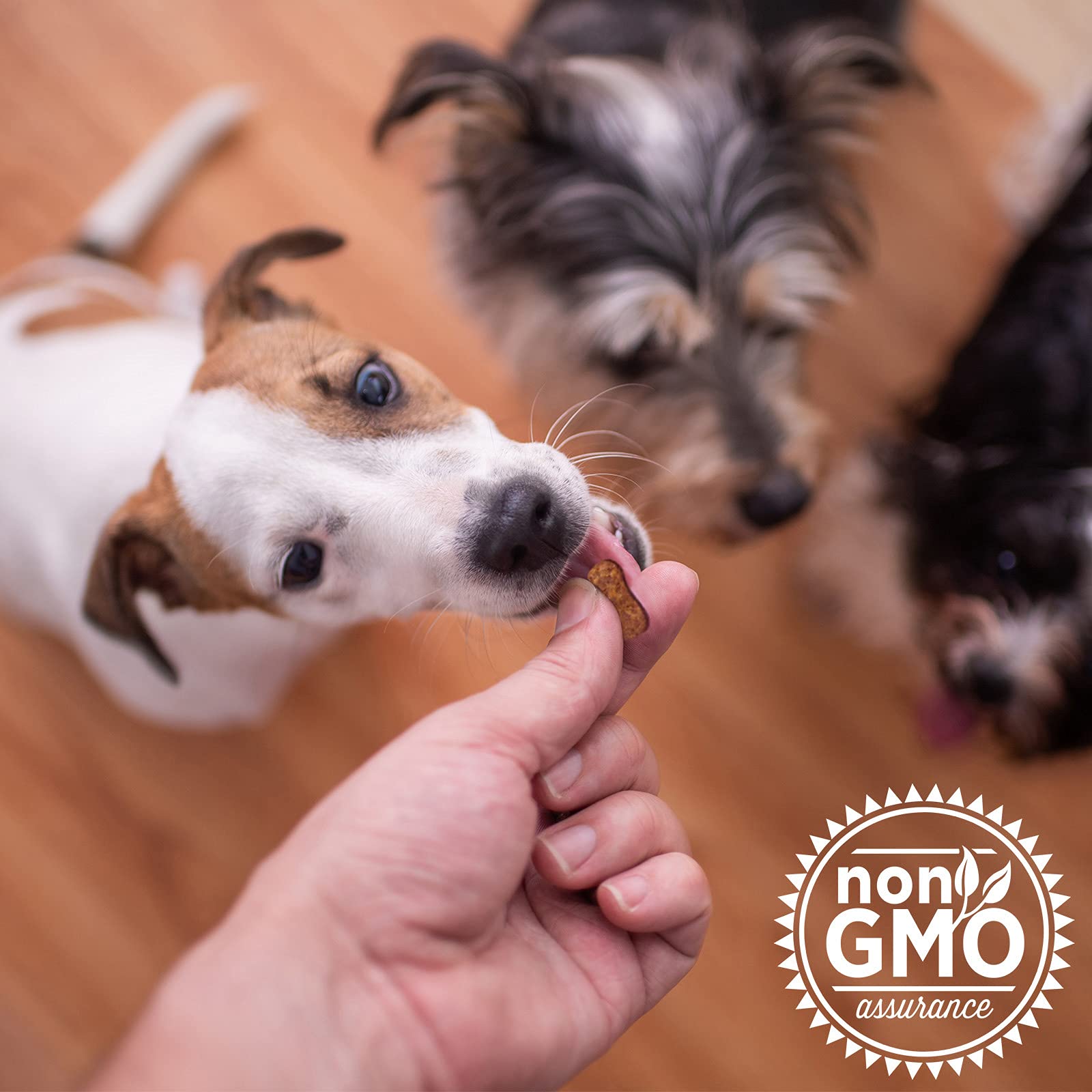 The Missing Link Collagen Care: hecho en Estados Unidos, garantía de calidad para mascotas.
