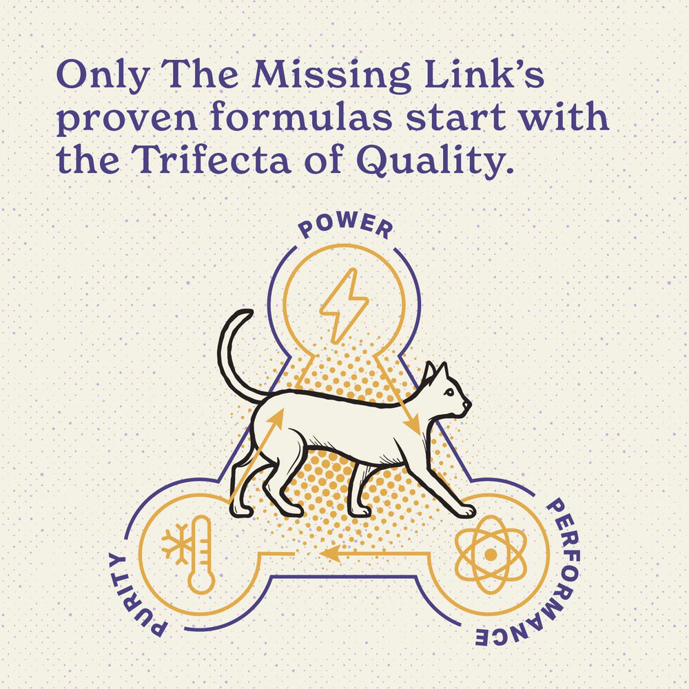 The Missing Link Gato: sabor mejorado para comer con gusto.
