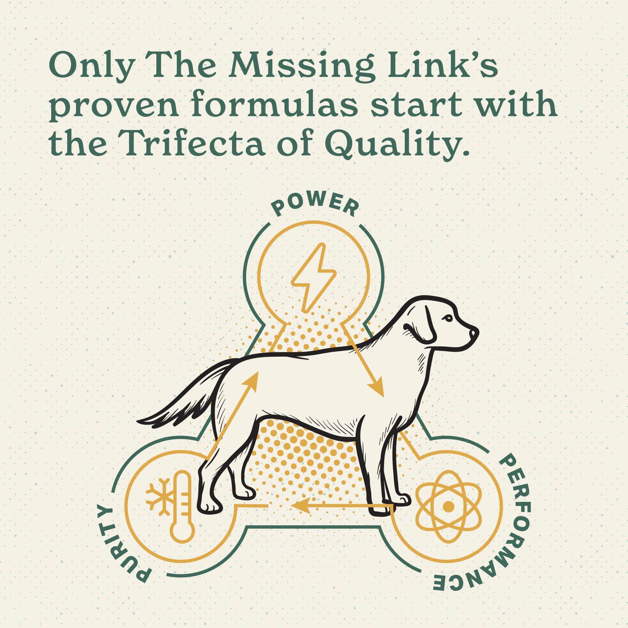 The Missing Link ingredientes clave articulaciones perro: glucosamina, condroitina y MSM presentes