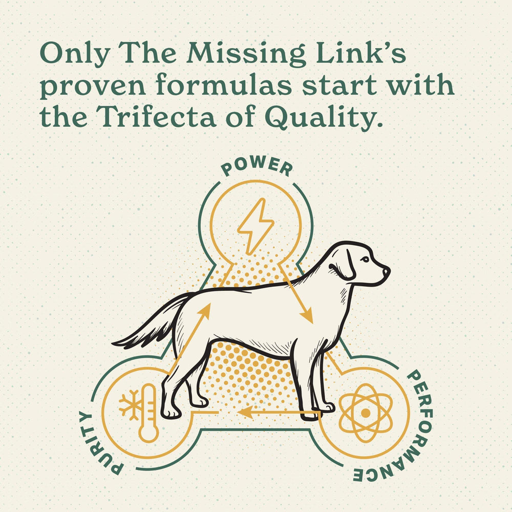 The Missing Link ingredientes clave articulaciones perro: glucosamina, condroitina y MSM presentes