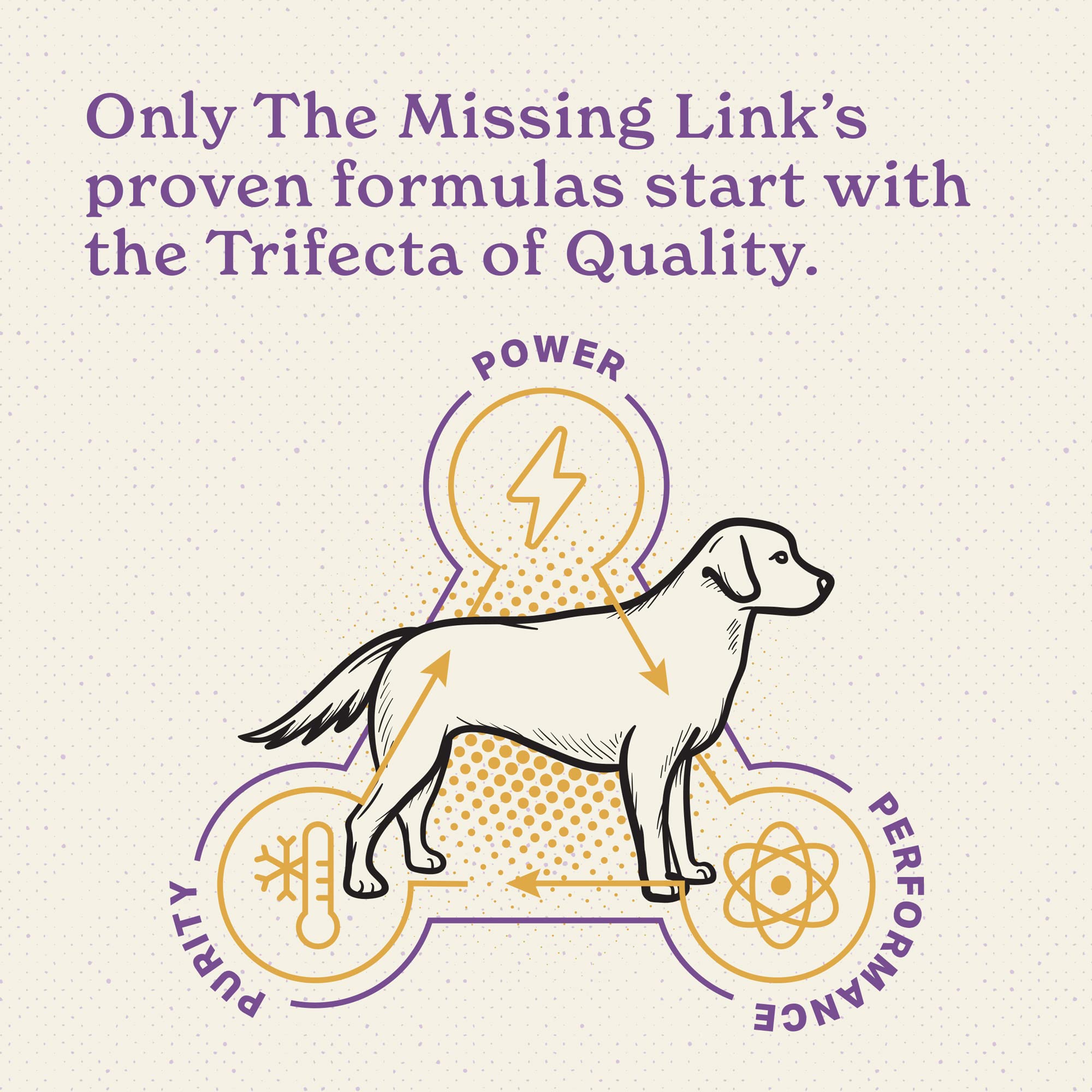 The Missing Link apoyo a la salud cardiovascular en perros mayores