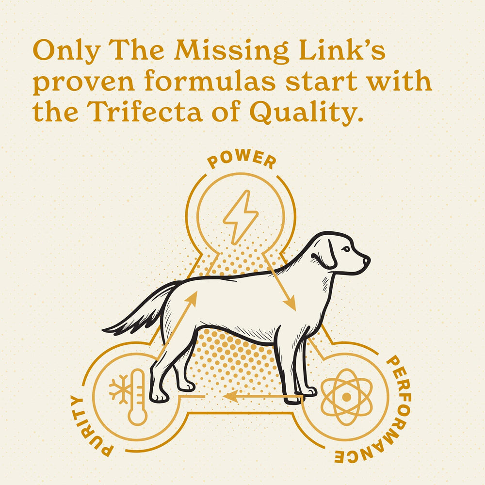 The Missing Link tecnología de proceso frío