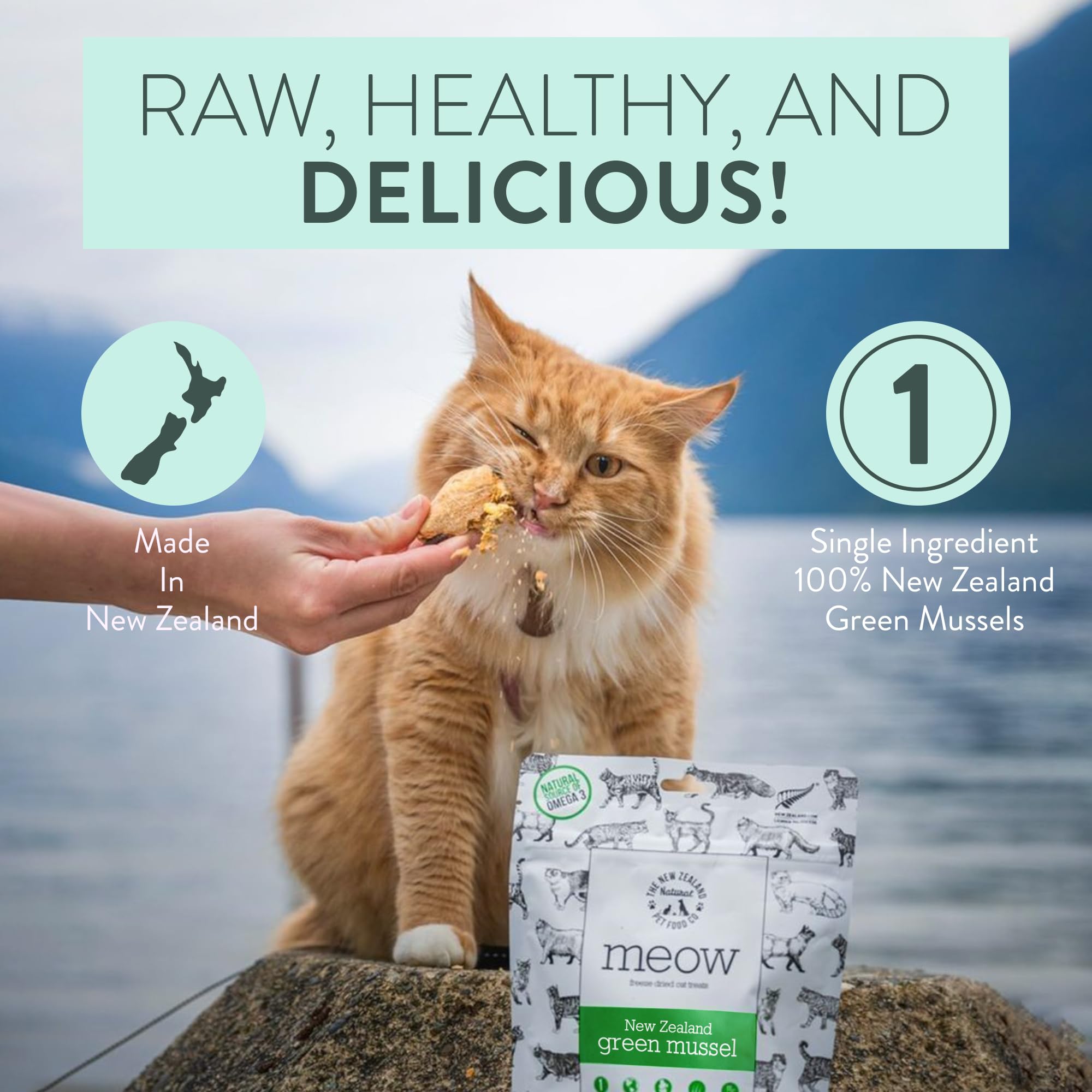 The New Zealand Natural Pet Food Co Meow sin aditivos, mejillón verde, para sensibilidades