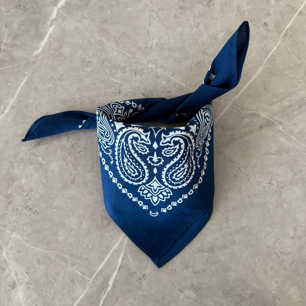 Bandanas The Peacock Crew para mascotas, complementando looks coordinados.