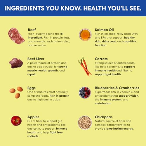 The Pets Table Beef & Berries ingredientes-superalimentos con bayas y vegetales