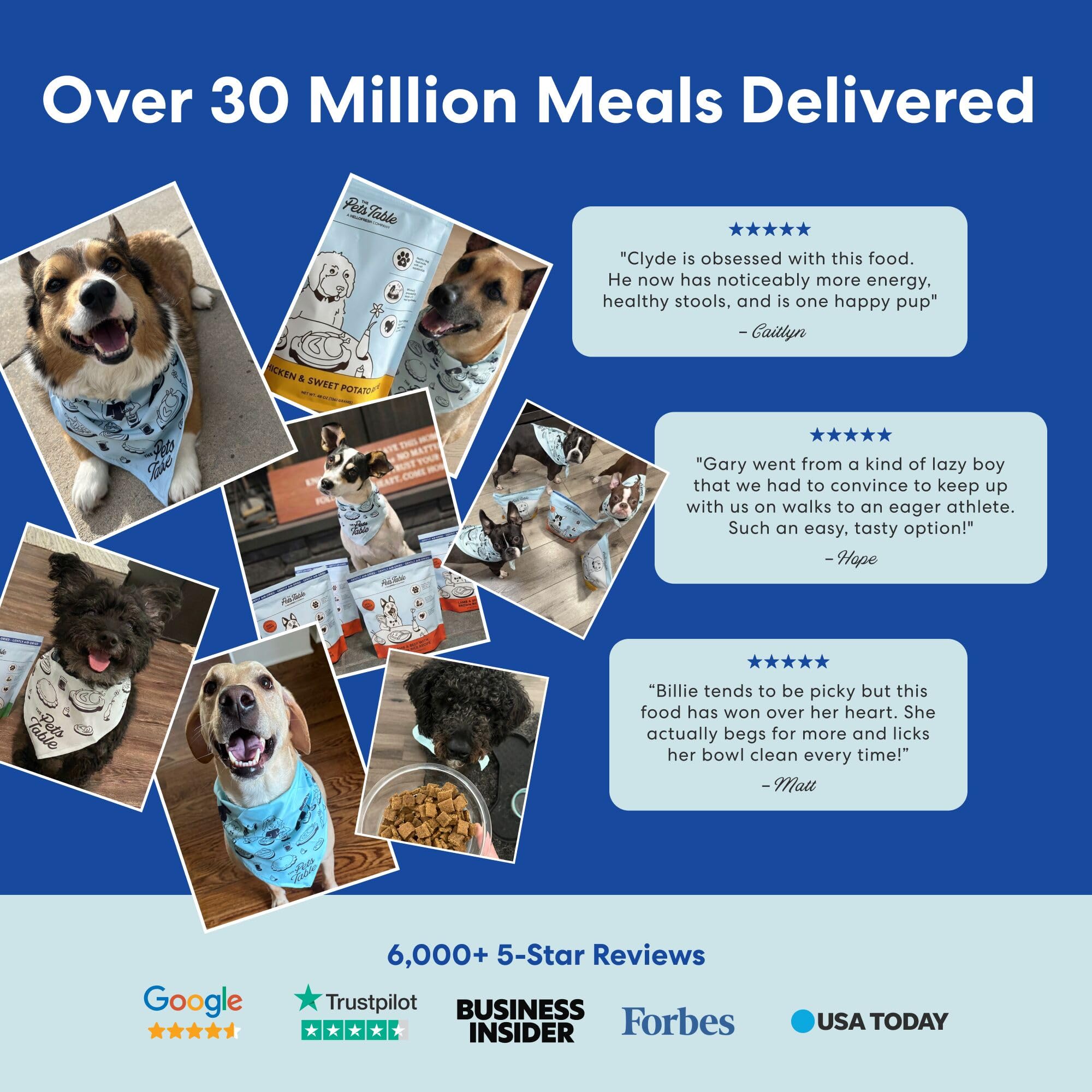 The Pets Table es adecuada para todas las etapas de vida canina
