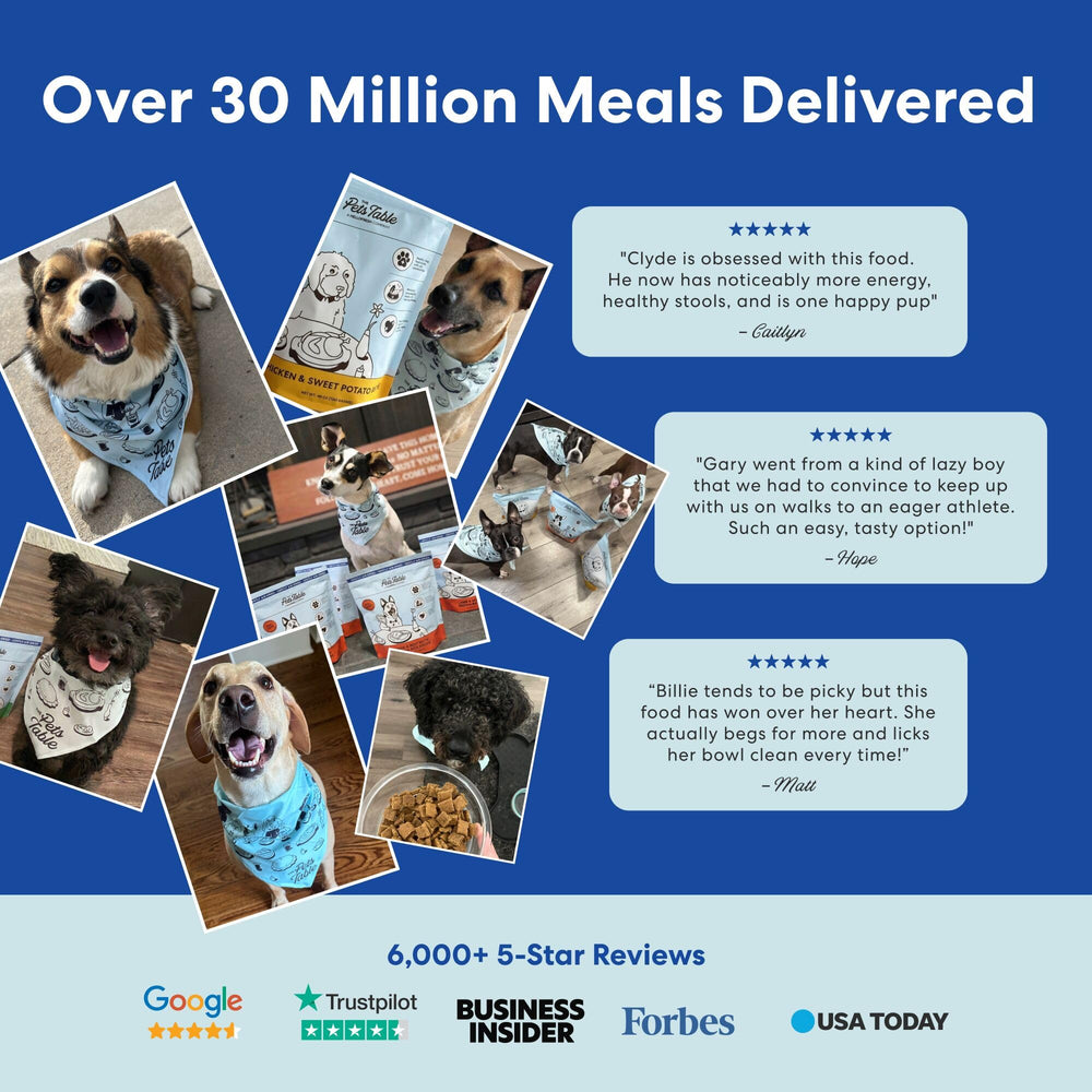 The Pets Table nutrición omega-3 y proteína de alta calidad para piel y movilidad