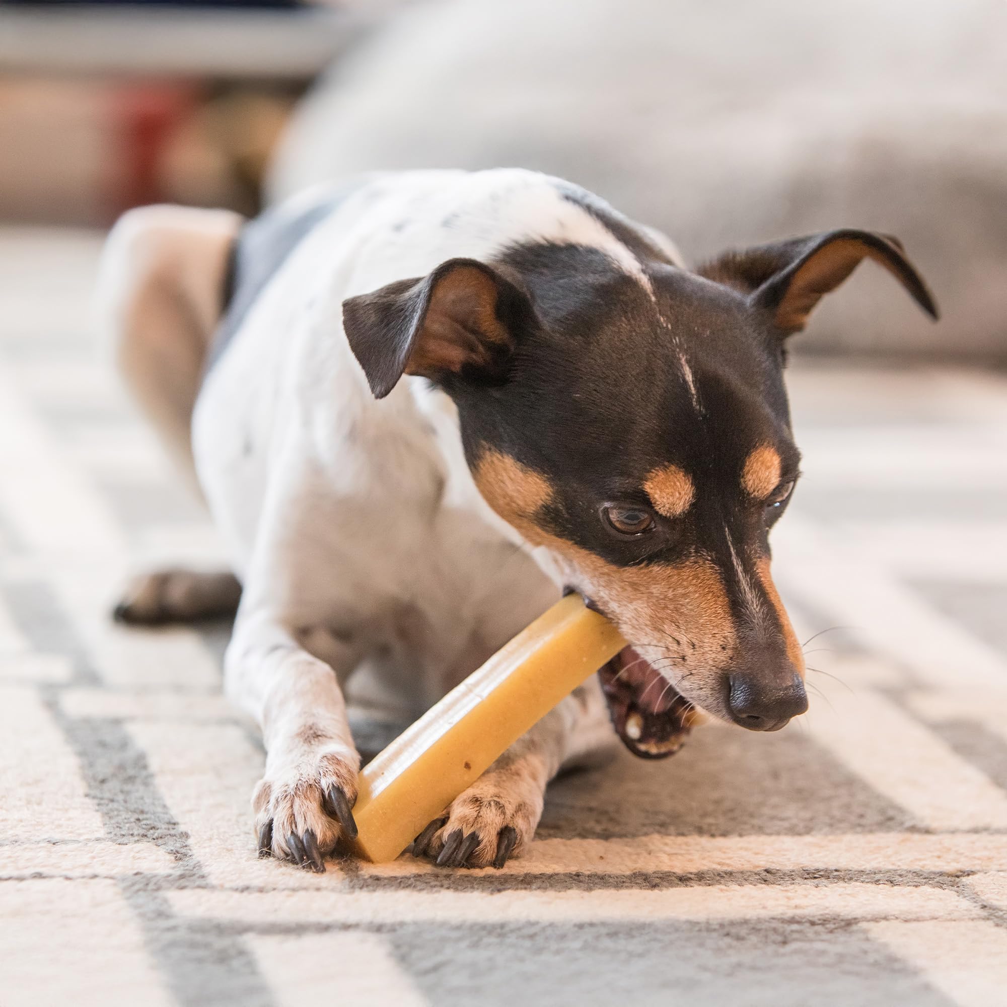 The Safe Dog Chew Company sin azúcares ni sal añadidos para perros sanos.
