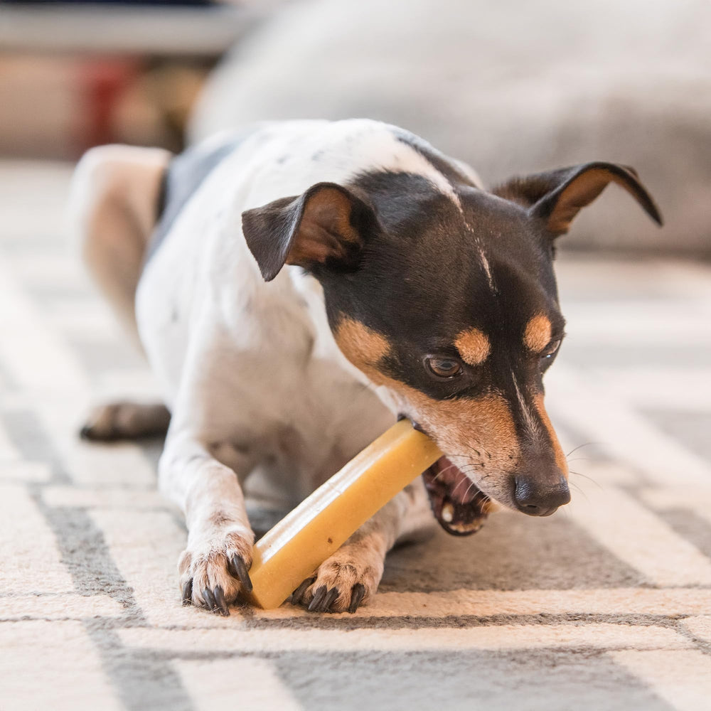 The Safe Dog Chew Company sin azúcares ni sal añadidos para perros sanos.