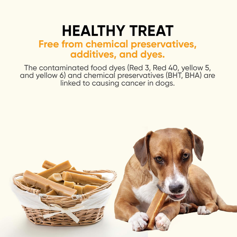 The Safe Dog Chew Company: sin azúcar ni sal para una opción de snack más limpia.