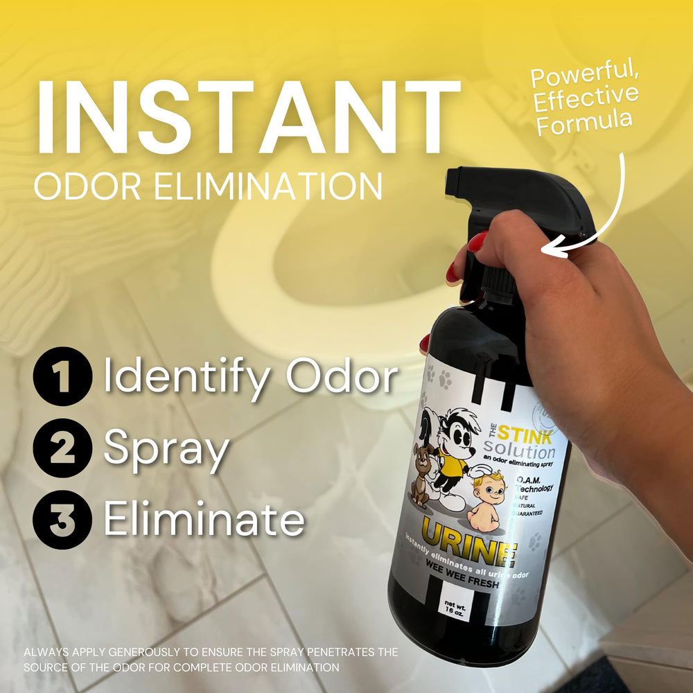 The Stink Solution eliminación de olor en alfombra de forma segura.