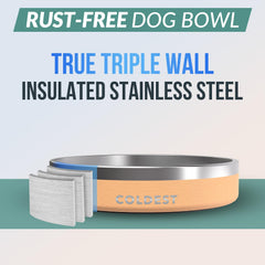 Bol The Coldest Water en inox, isolation thermique robuste pour hydratation constante.
