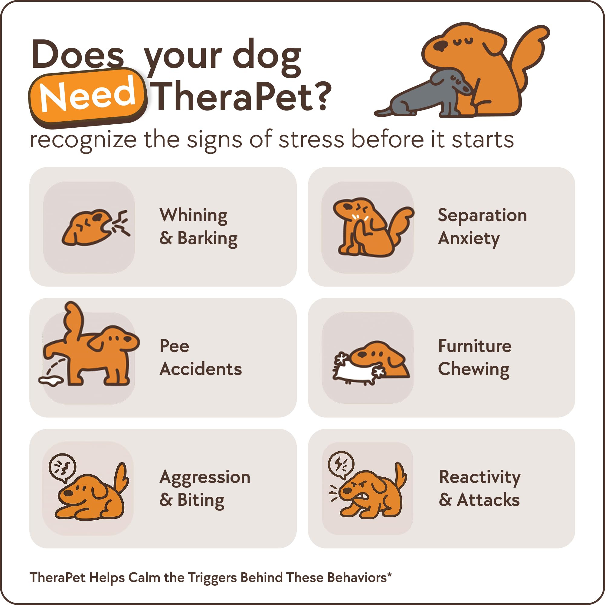 TherapetMD difusor-luz-baja-perro ofrece iluminación suave sin molestar al animal.