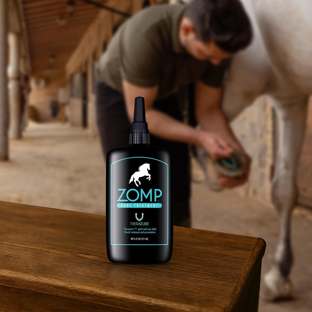 Zomp ayuda a la rutina diaria de cuidado de cascos