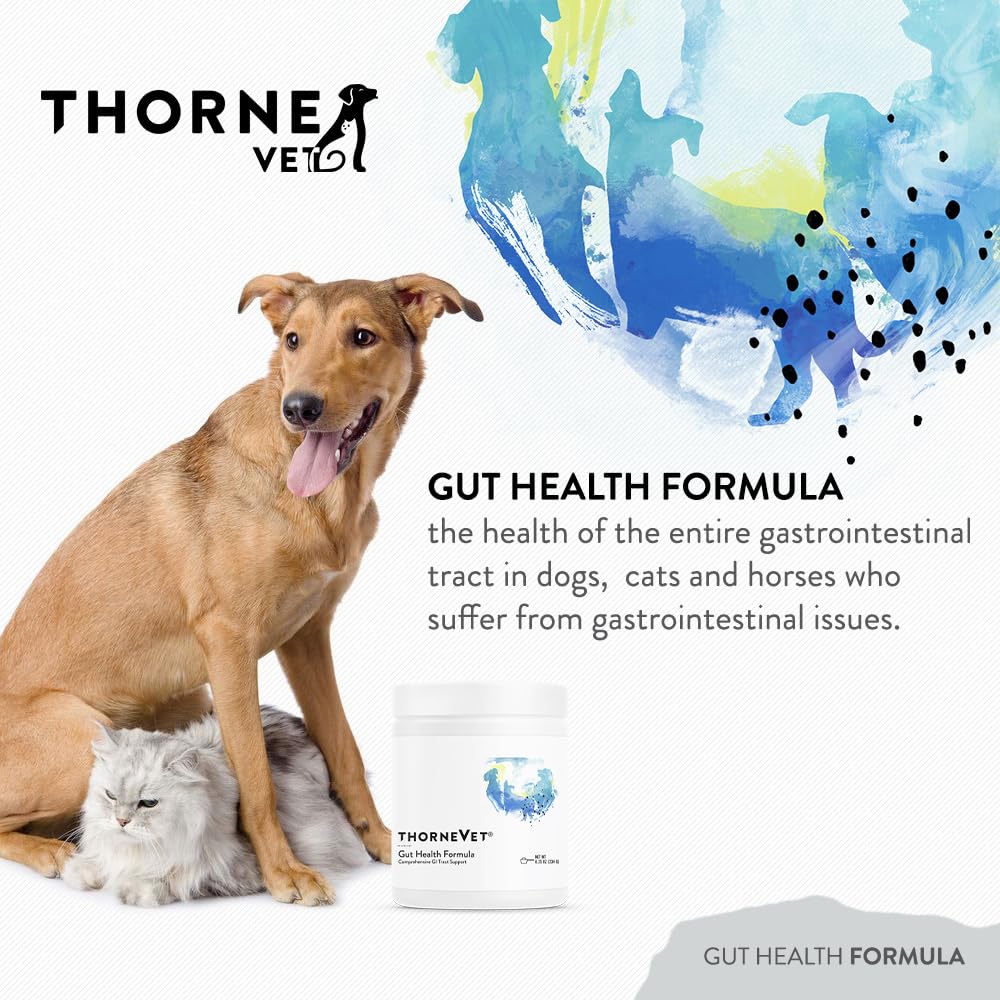 ThorneVET fórmula de salud intestinal, etiqueta frontal para identificación rápida.