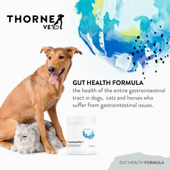 ThorneVET fórmula de salud intestinal, etiqueta frontal para identificación rápida.
