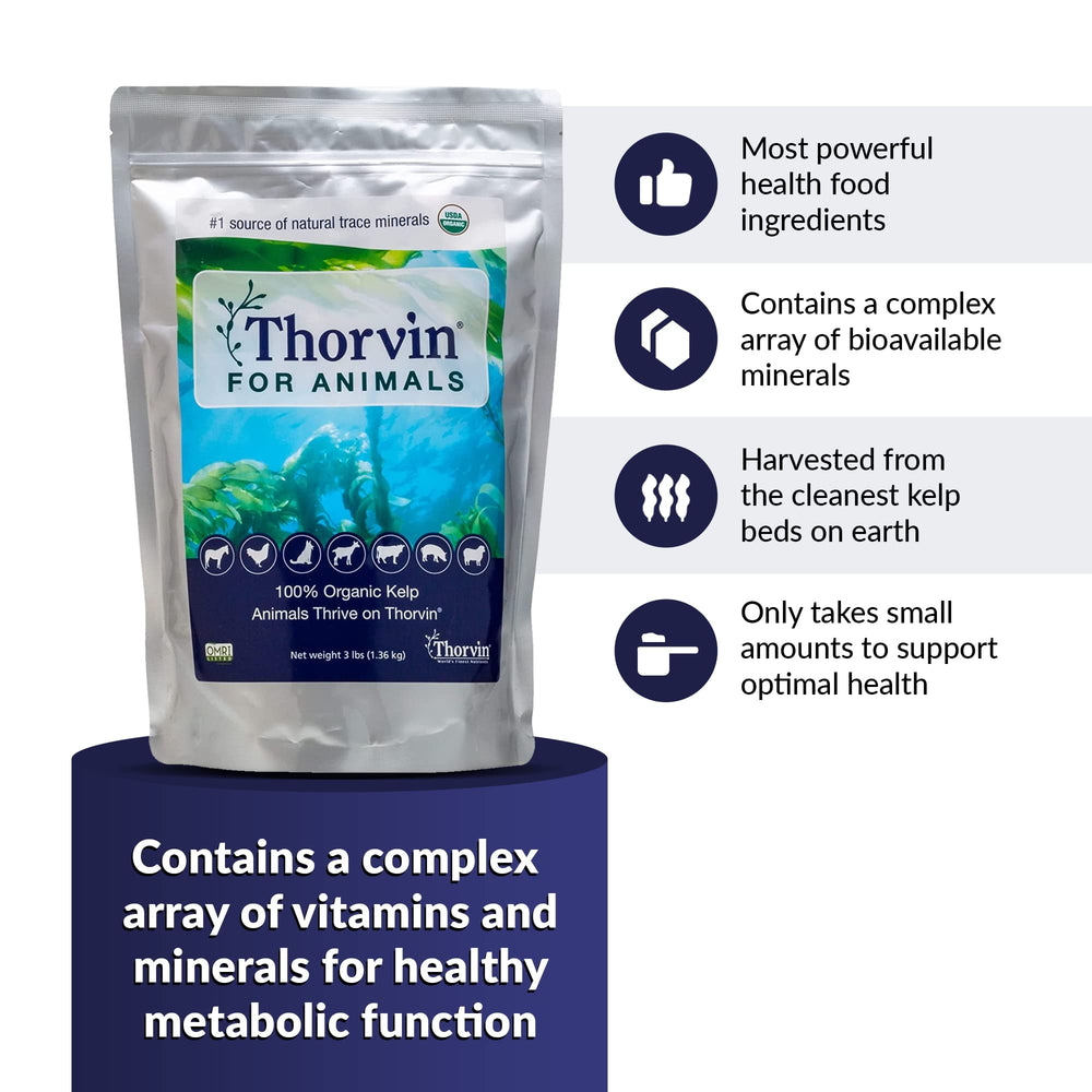 Pelaje brillante con Thorvin Kelp para Animales, nutriente natural diario.